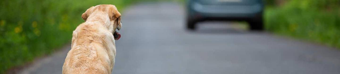 initial