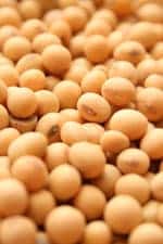 soy image
