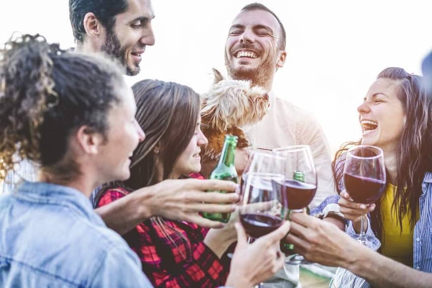 Friends toasting alcoholic beverages while man holds small terrier dog.