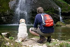 man-and-dog-sitting-by-waterfall