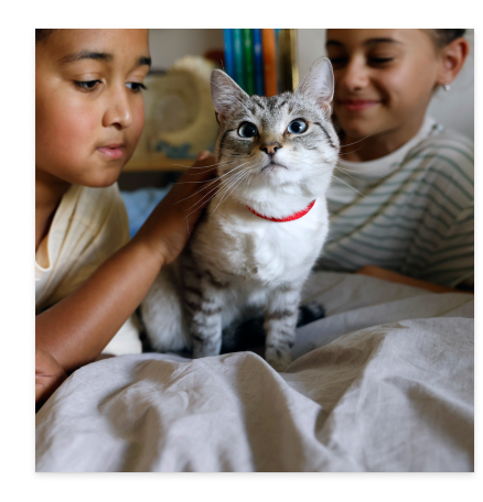 Cat with kids 