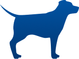 Ideal weight dog