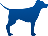 Underweight Dog