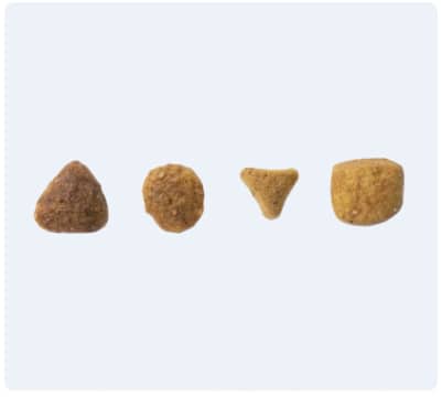 Food shape
