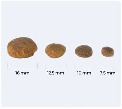 Food Size
