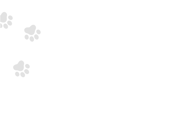 Paw prints