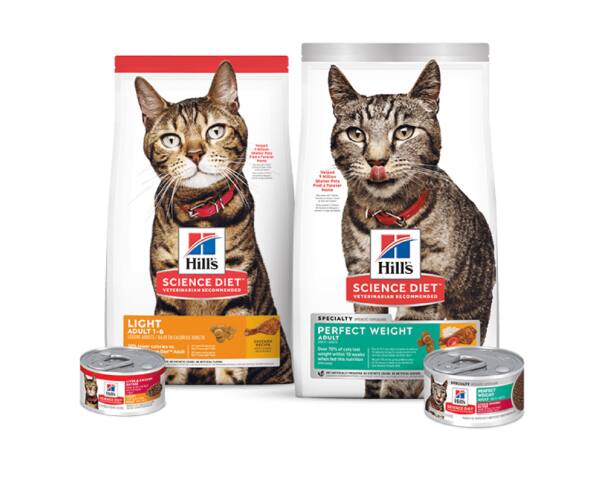 Science light and perfect weight cat food