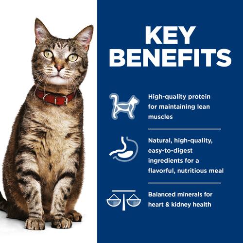 Key Benefits