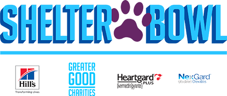 Shelter Bowl