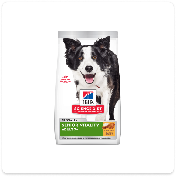 Senior dry dog food
