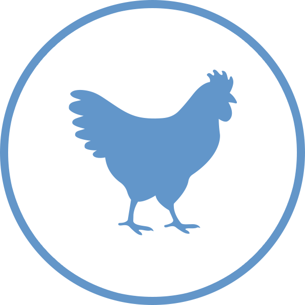 Chicken Icon