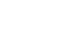 cat icon