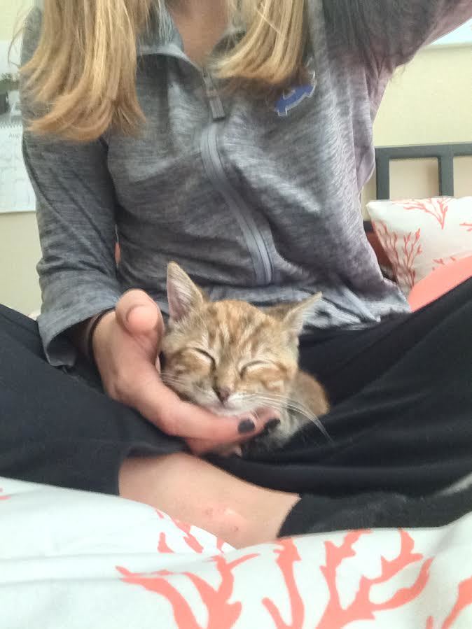 Kat sits in the lap of a girl.