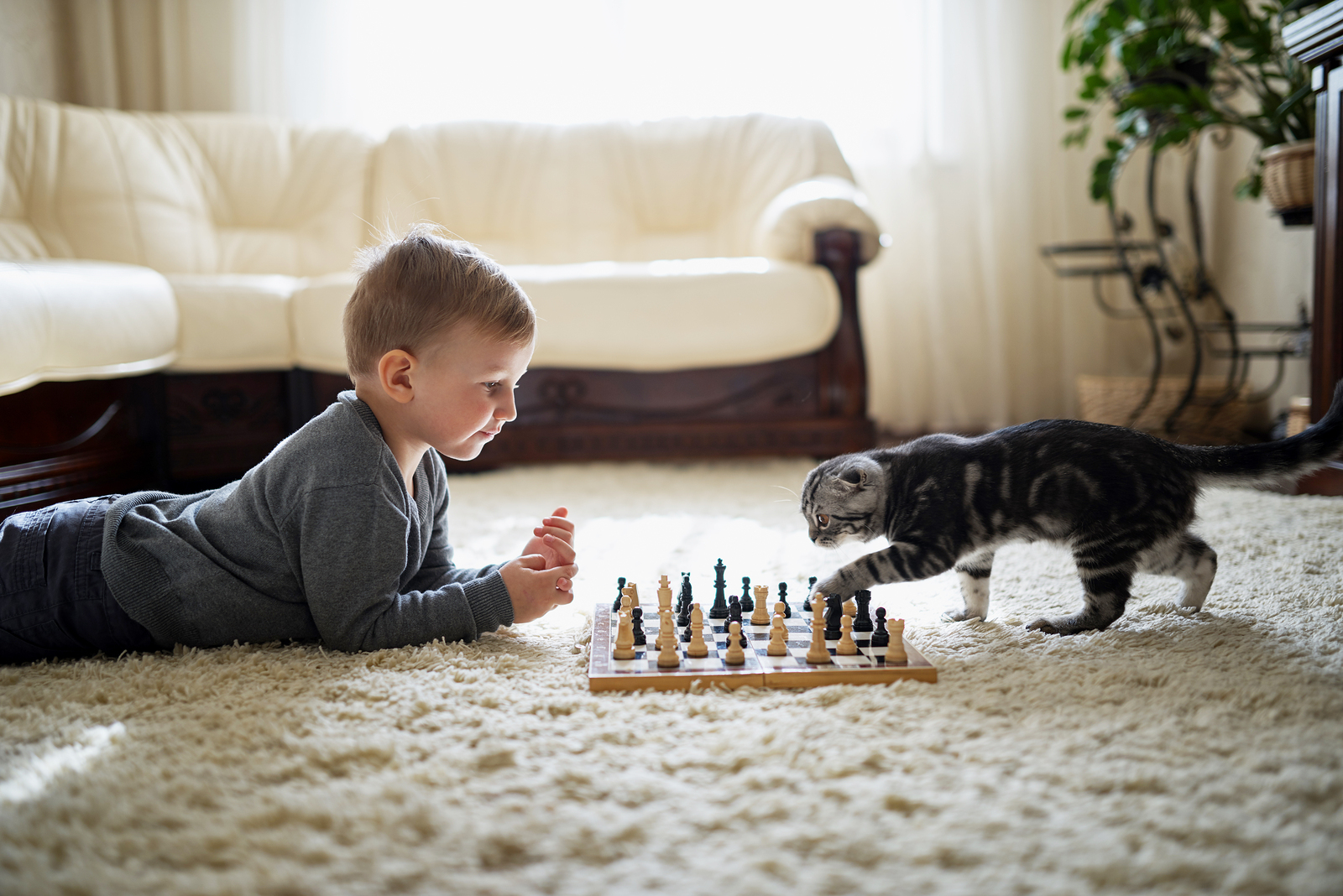 Little boy lies on the ground with a chess board, while a tabby cat paws at one of the pieces.