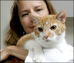 Cat and owner