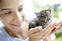 Handling kittens