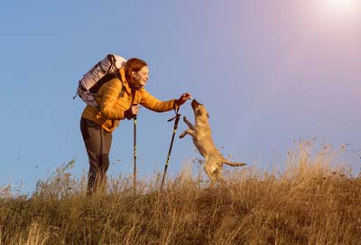 Female hiker in yellow jacket gives a dog a treat on top of hill.
