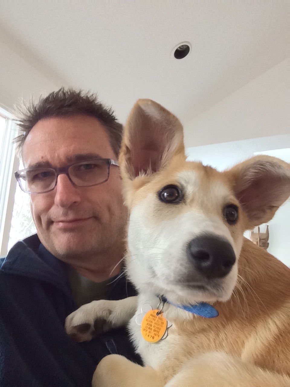Dog taking a selfie with pet parent