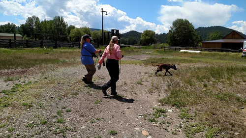 Two woman lead a dog on a leash on a rescue mission