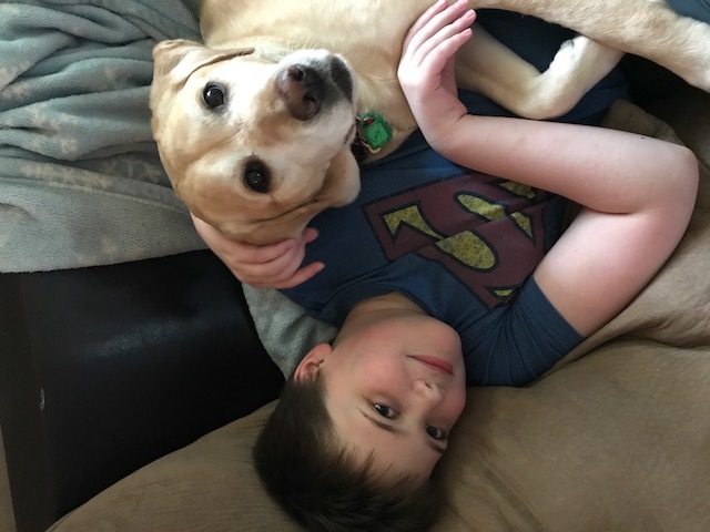 Boy in a Superman™ t-shirt lays next to yellow labrador retriever.