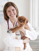 Neutering puppy