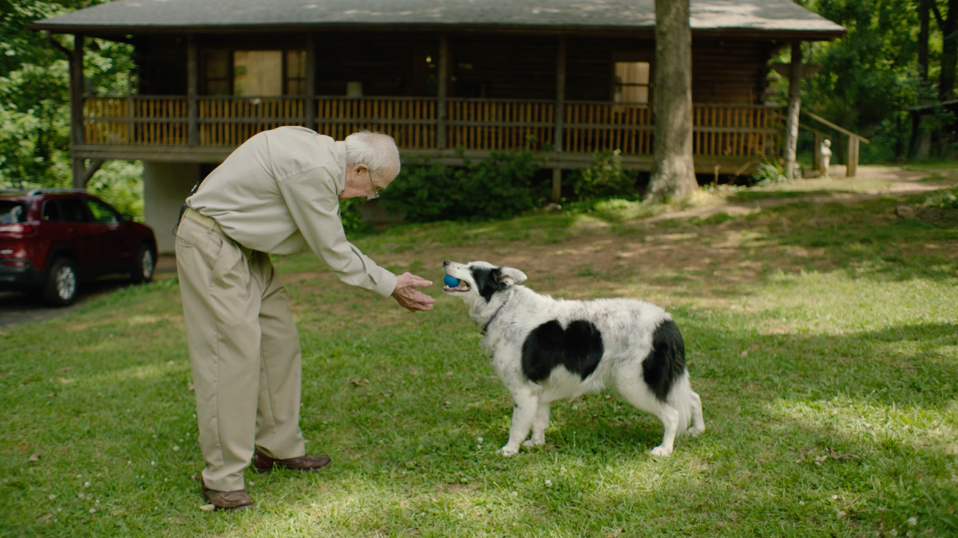 Chaser, a border collie who has learned over 1,000 words, gives a ball to her owner, John Pilley. Chaser, a border collie who has learned over 1,000 words, gives a ball to her owner, John Pilley.