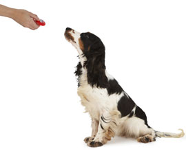 Commands clicker