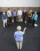 Training classes