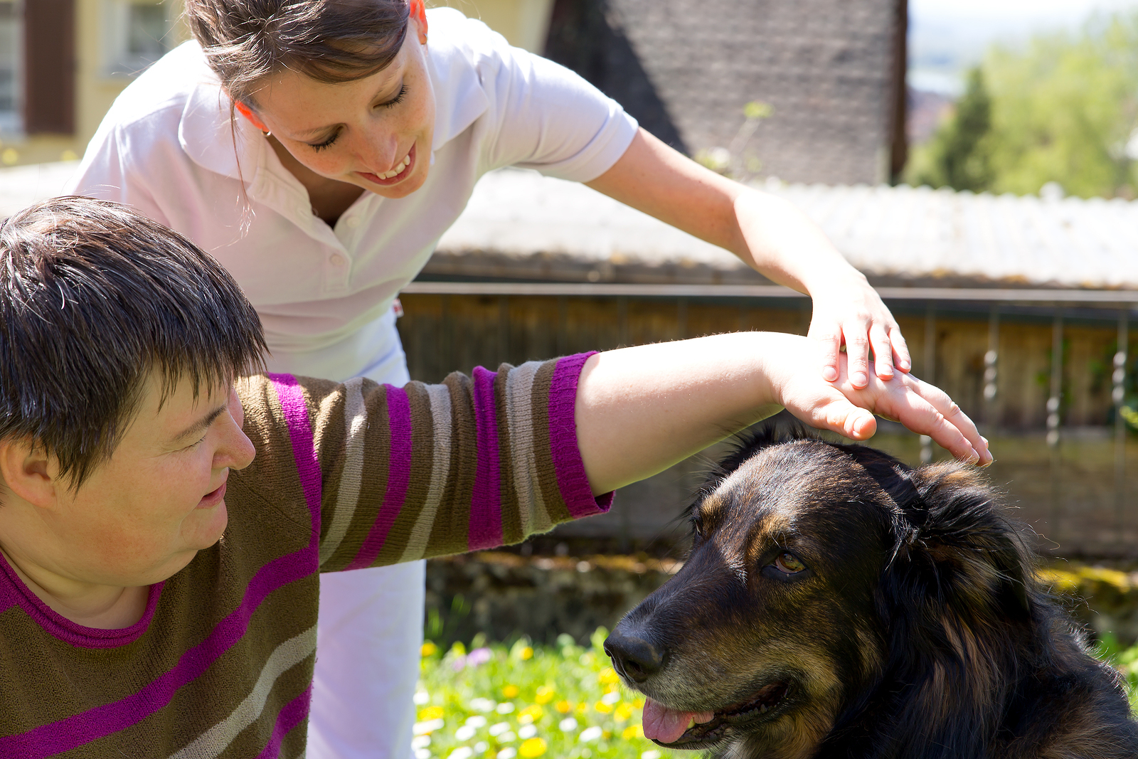 Two people pet a dog outside.