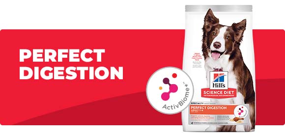 Bags of Science Diet Perfect Digestion dry dog and cat food