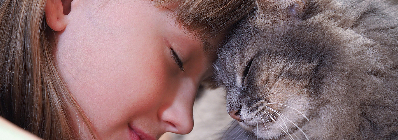 Six Unique Ways Cats Show Affection | Hill's Pet