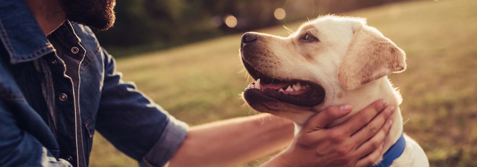 Man With Dog