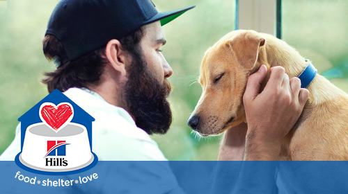 Hill´s Food, Shelter & Love program Hill´s Food, Shelter & Love program - owner with his dog