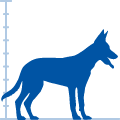 Silhouette of a large dog