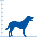 Silhouette of a medium-sized dog