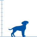 Silhouette of a small/toy dog
