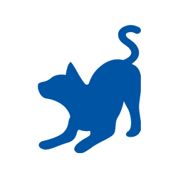 Cat silhouette