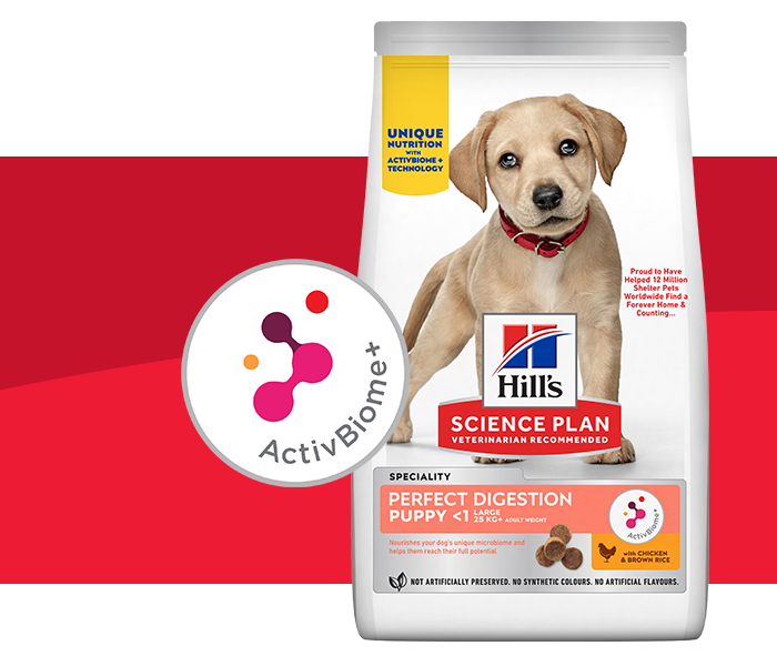 Location of #4 LDPE label on vet essentials packaging