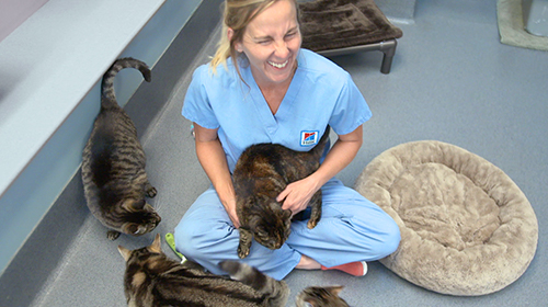 Pet Nutrition Center (PNC)